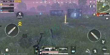 和平精英在哪看最新爆料,揭秘游戏新动态与更新内容